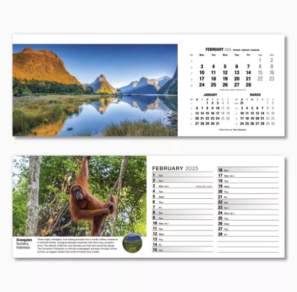 201015-our-world-in-trust-desk-calendar-february.png