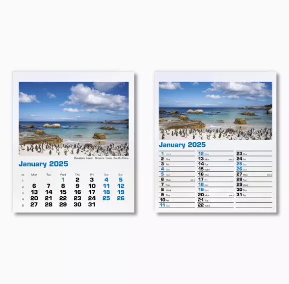 300015-blue-planet-mini-desk-calendar-january.png