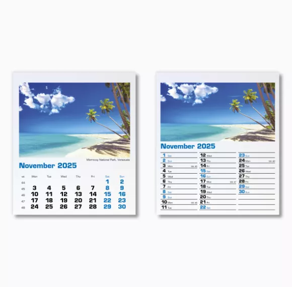 300015-blue-planet-mini-desk-calendar-november.png