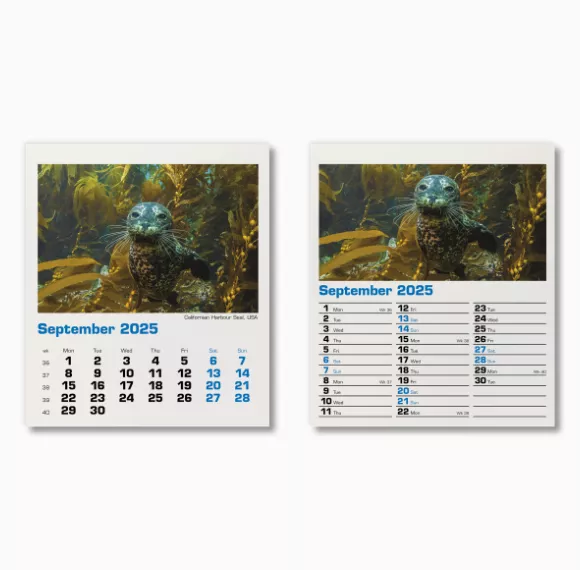 300015-blue-planet-mini-desk-calendar-september.png