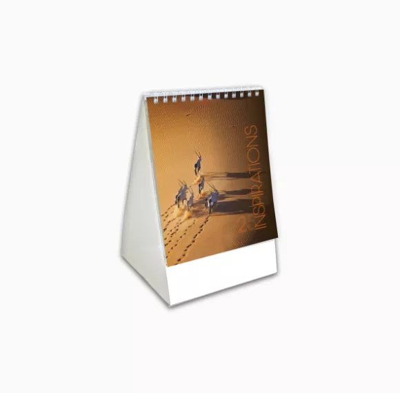 405115-inspirations-mini-desk-calendar-cover-wiro.png