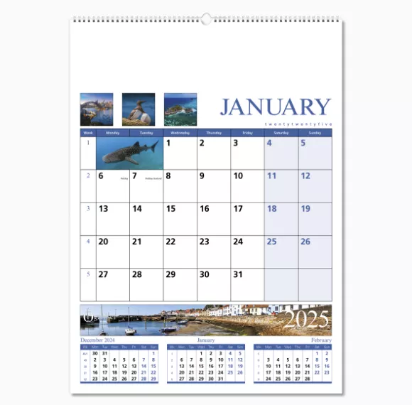 601515-organiser-wall-calendar-january-wiro.png