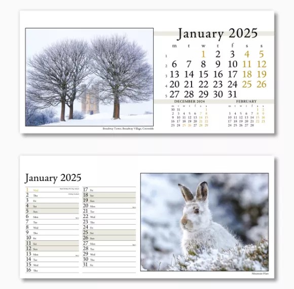 804715-photo-life-desk-calendar-january.png