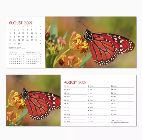 NDL015-a-touch-of-colour-desk-calendar-august.png