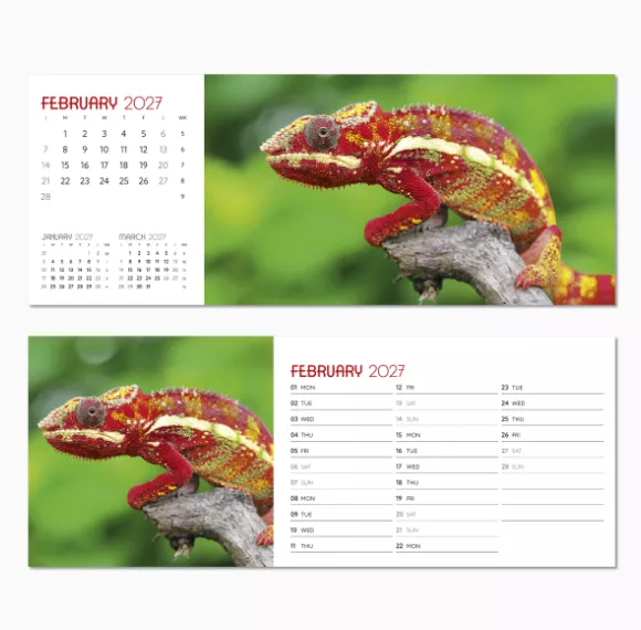 NDL015-a-touch-of-colour-desk-calendar-february.png