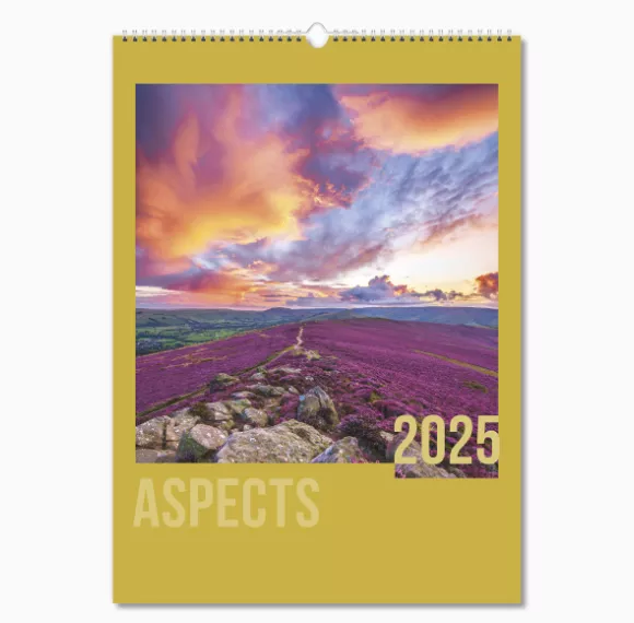 NWO021-aspects-optima-wall-calendar-cover-wiro.png