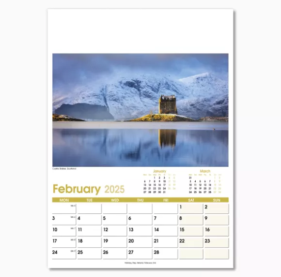 NWO021-aspects-optima-wall-calendar-february.png