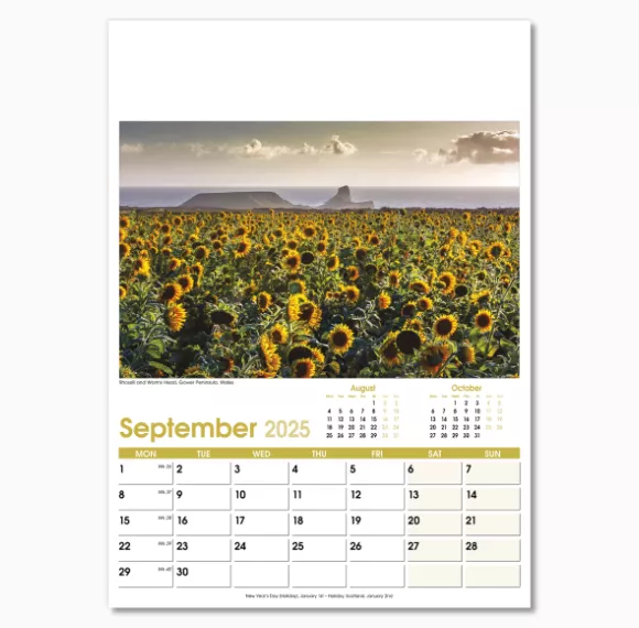 NWO021-aspects-optima-wall-calendar-september.png