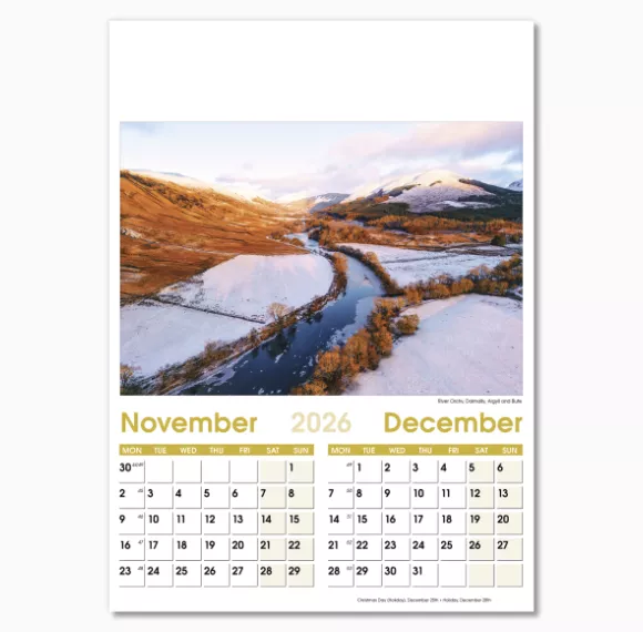 NWO024-7-leaf-aspects-optima-wall-calendar-nov-dec.png
