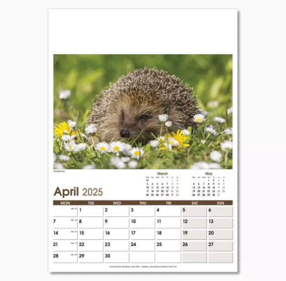 NWO053-rural-life-optima-wall-calendar-april.png