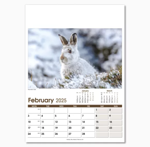 NWO053-rural-life-optima-wall-calendar-february.png