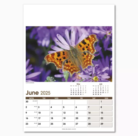 NWO053-rural-life-optima-wall-calendar-june.png