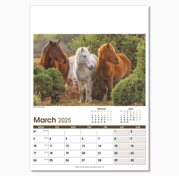 NWO053-rural-life-optima-wall-calendar-march.png