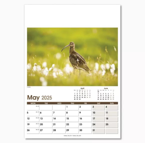 NWO053-rural-life-optima-wall-calendar-may.png