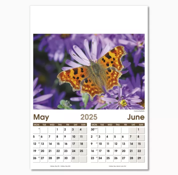 NWO057-7-leaf-rural-life-optima-wall-calendar-may-jun.png