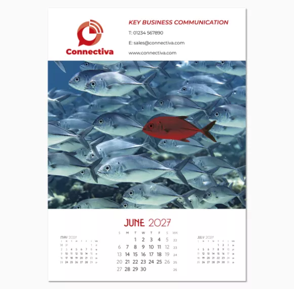 NWP325-a-touch-of-colour-wall-calendar-june.png