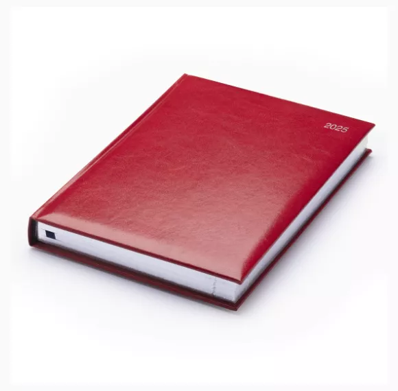 96204-strata-deluxe-a5-pad-diary-white-daily-red.png