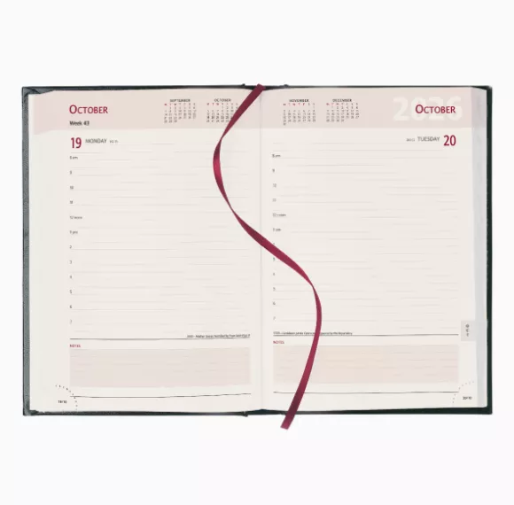 a5-diary-page-a-day-inside-ivory-pages.png