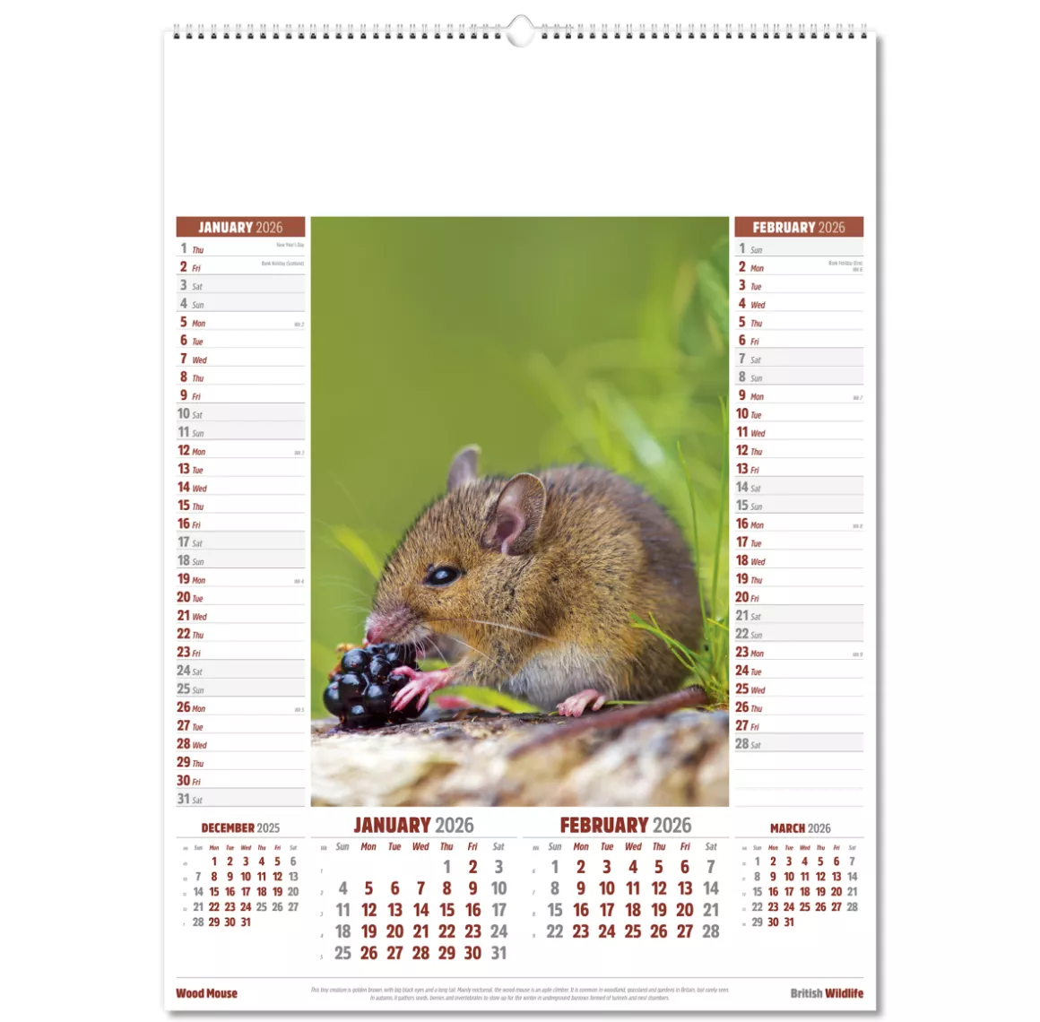 106915-british-wildlife-wall-calendar-jan-feb.png