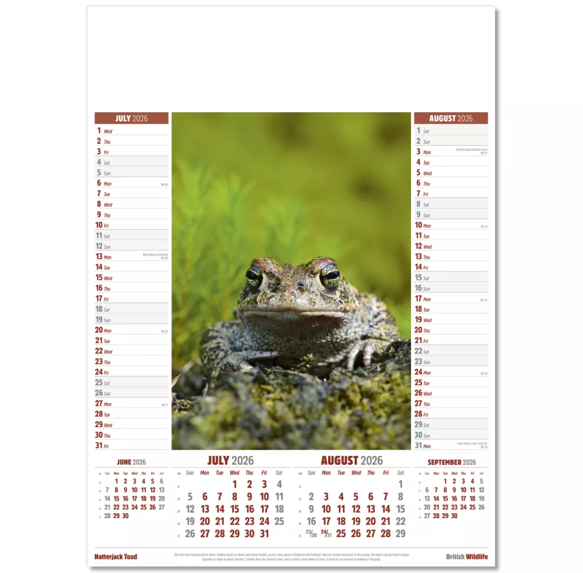 106915-british-wildlife-wall-calendar-jul-aug.png