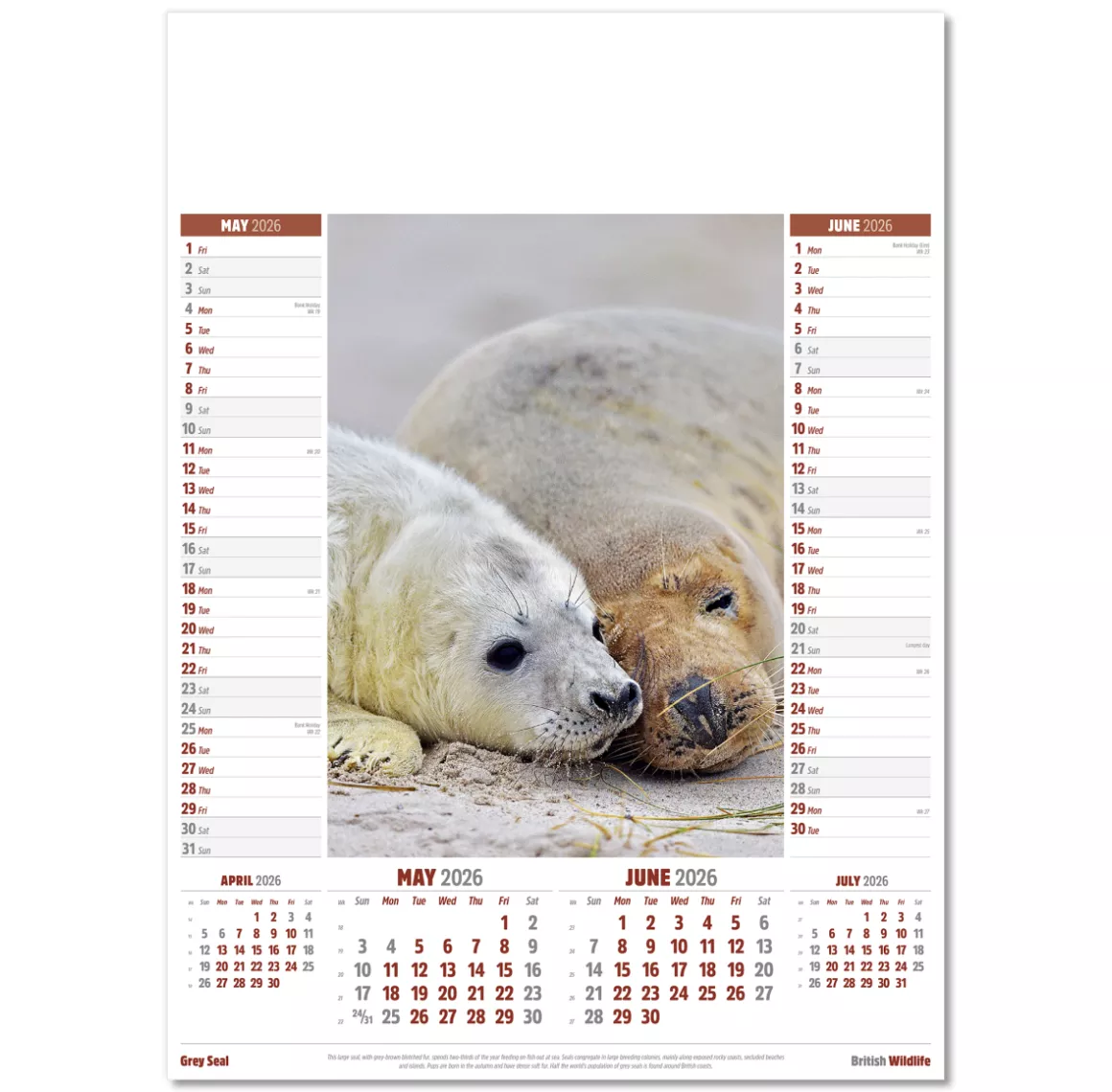 106915-british-wildlife-wall-calendar-may-jun.png