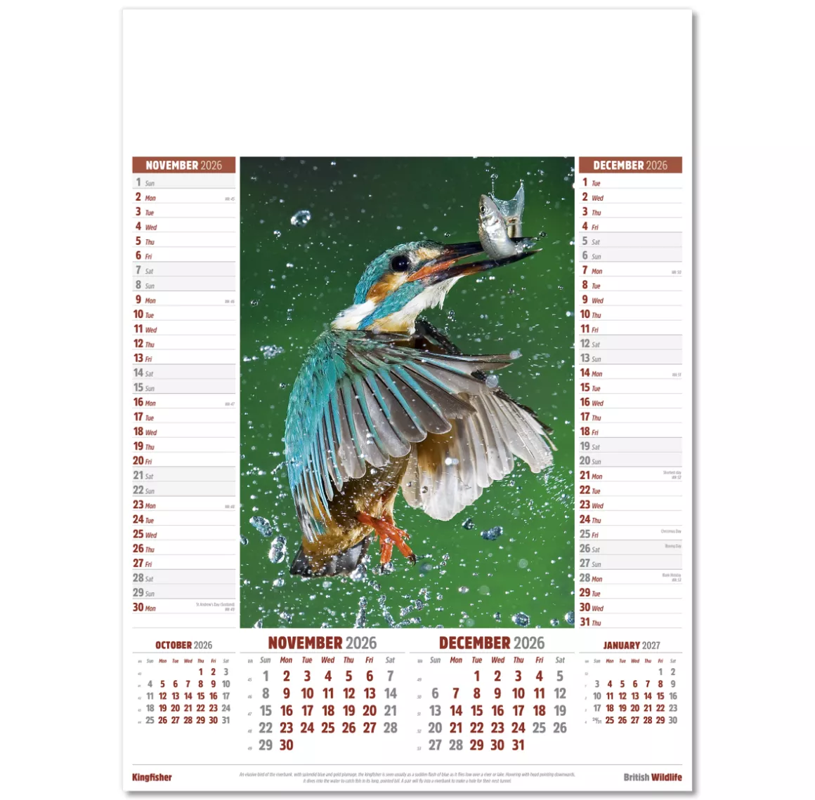 106915-british-wildlife-wall-calendar-nov-dec.png