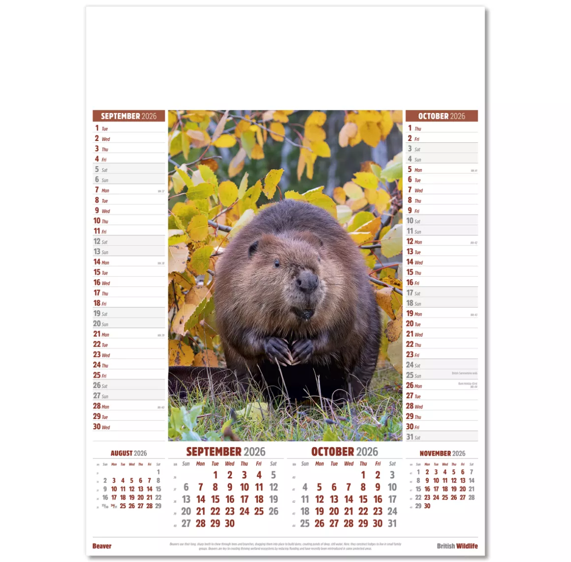 106915-british-wildlife-wall-calendar-sep-oct.png