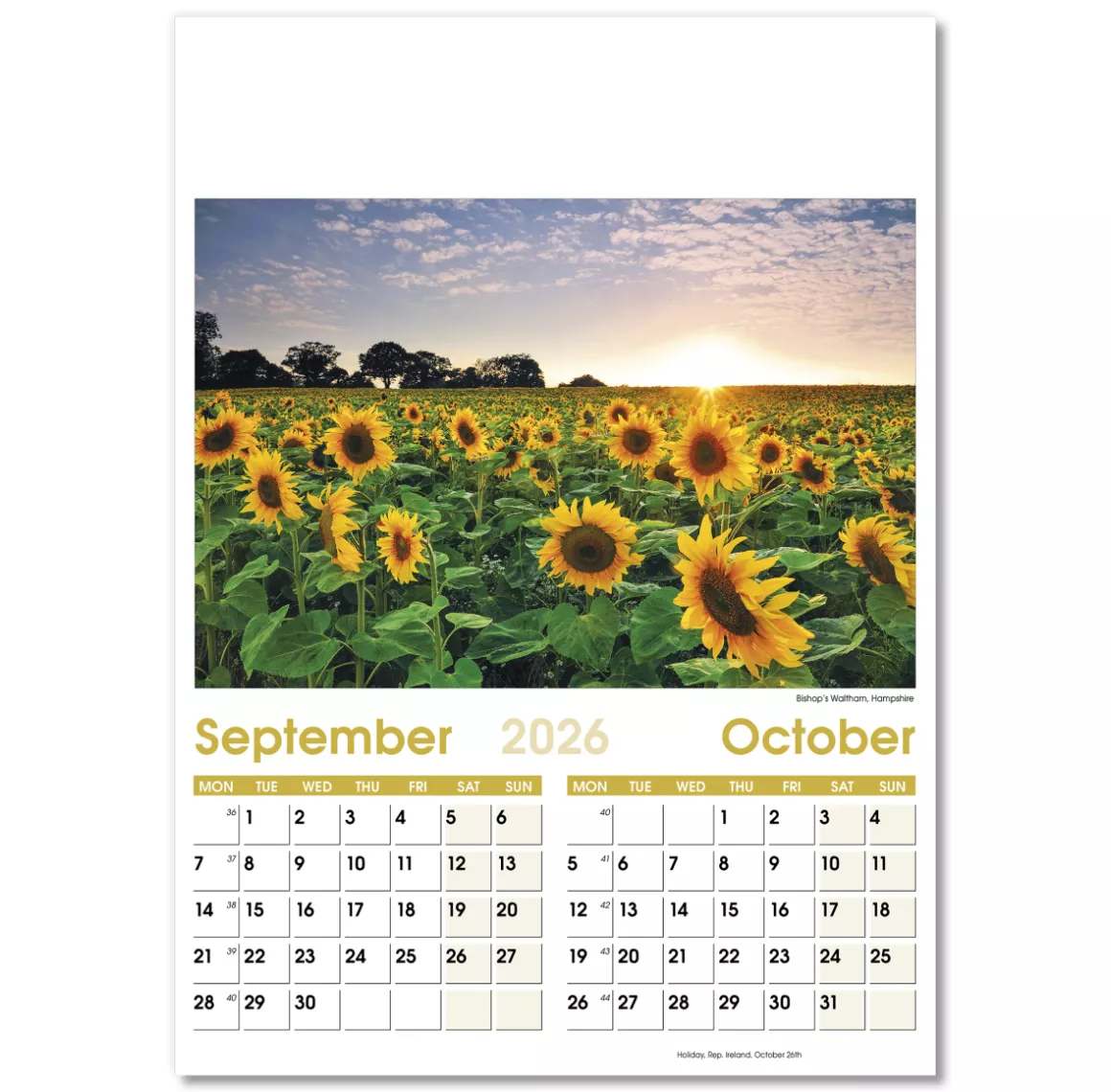 NWO024-7-leaf-aspects-optima-wall-calendar-sep-oct.png