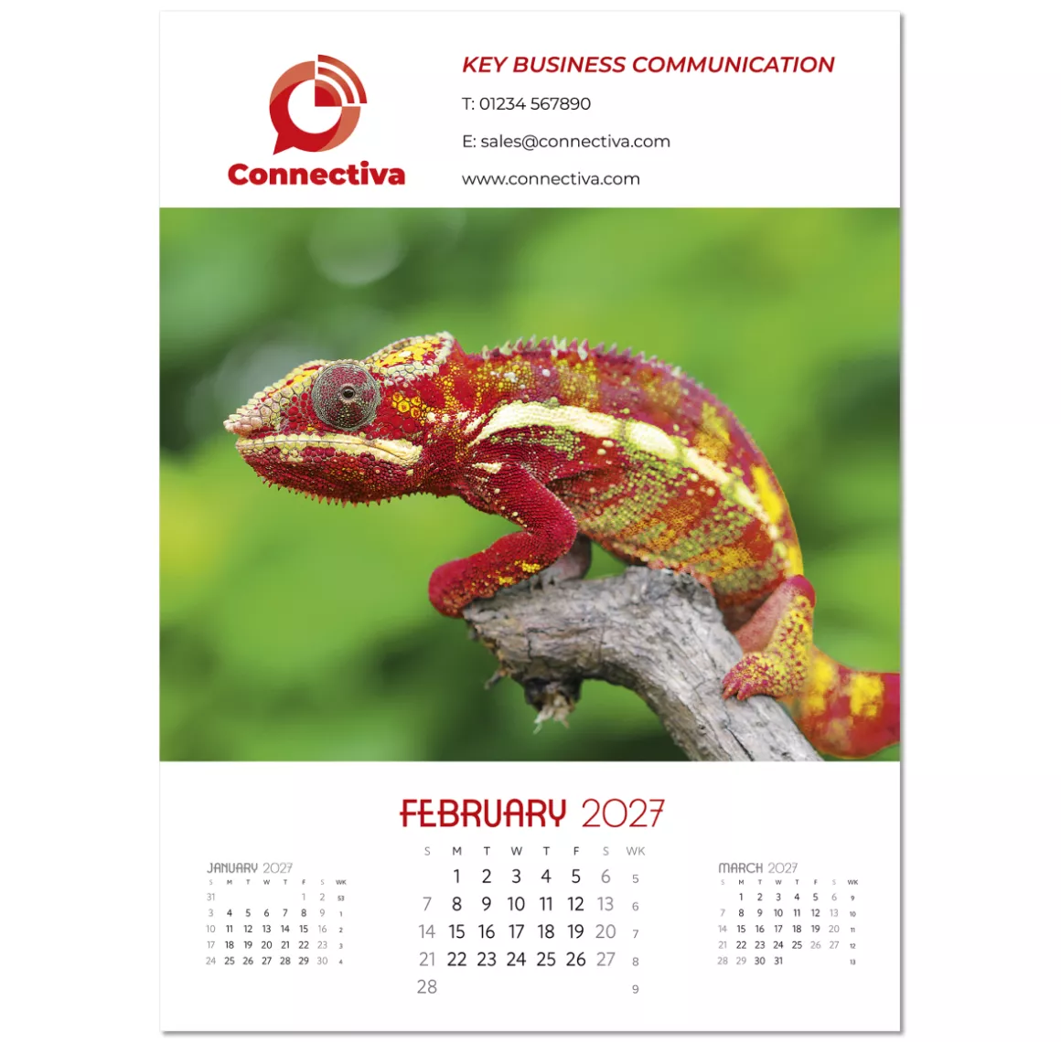 NWP325-a-touch-of-colour-wall-calendar-february.png
