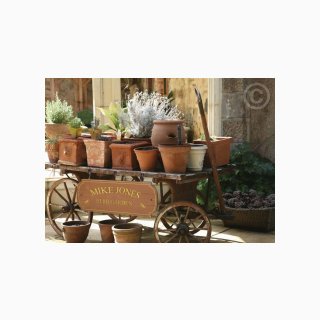 50 Plant Nursery on Cart