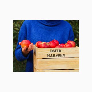 290 Harvest Box