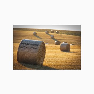291 Hay Bales