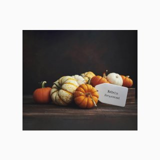 301 Pumpkins
