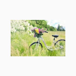 307 Summer Bicycle