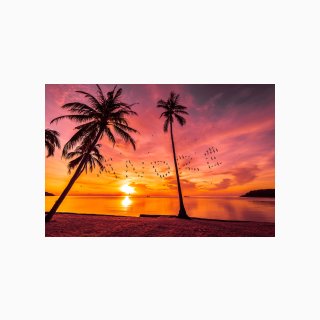 309 Sunset Palm Trees