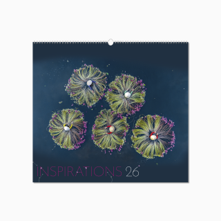 105115-inspirations-wall-calendar-cover-wiro.png