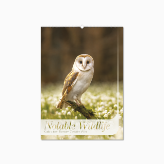 107715-notable-wildlife-wall-calendar-cover-wiro.png