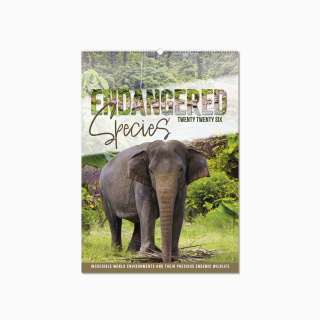 110315-endangered-species-wall-calendar-cover-wiro.png