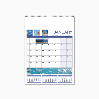 601515-organiser-wall-calendar-january-wiro.png