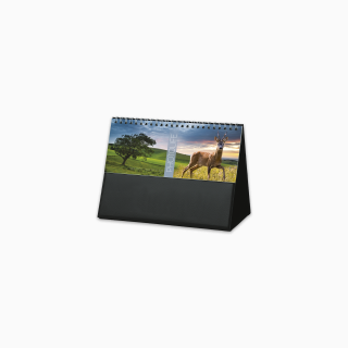 804715-photo-life-desk-calendar-cover-wiro.png