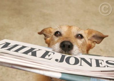 Dog with Newspaper