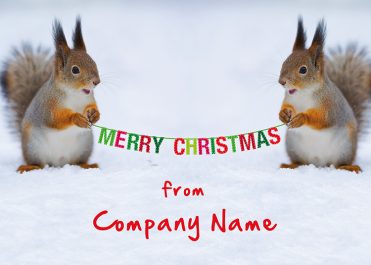 1624 - Squirrel Bunting Branded Christmas Card