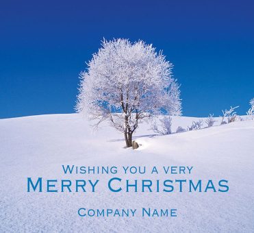1656 - Frosty Tree Branded Christmas Card
