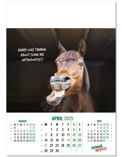 100215-animal-antics-wall-calendar-april