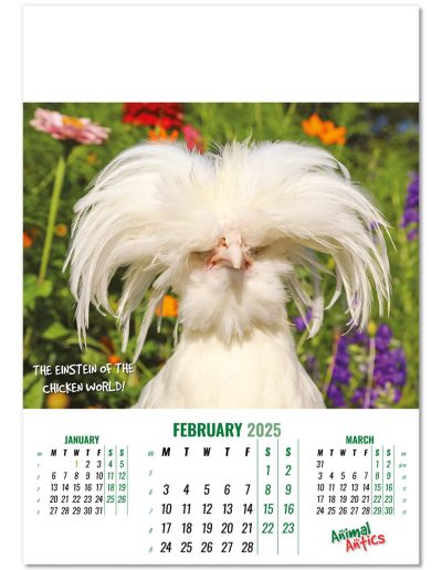 100215-animal-antics-wall-calendar-february