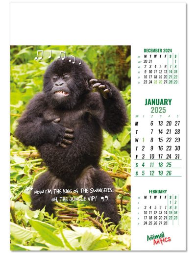 100215-animal-antics-wall-calendar-january