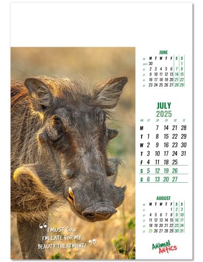 100215-animal-antics-wall-calendar-july