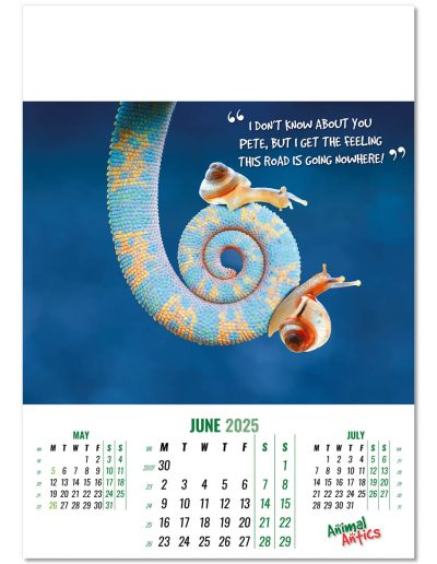 100215-animal-antics-wall-calendar-june