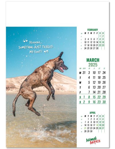100215-animal-antics-wall-calendar-march