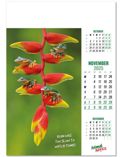 100215-animal-antics-wall-calendar-november